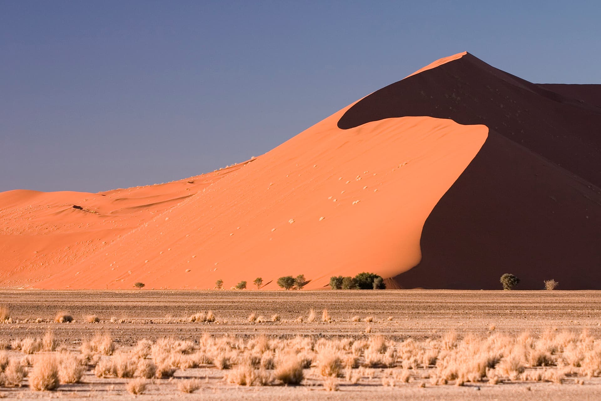 South Africa vs. Namibia: The Ultimate Road Trip Showdown