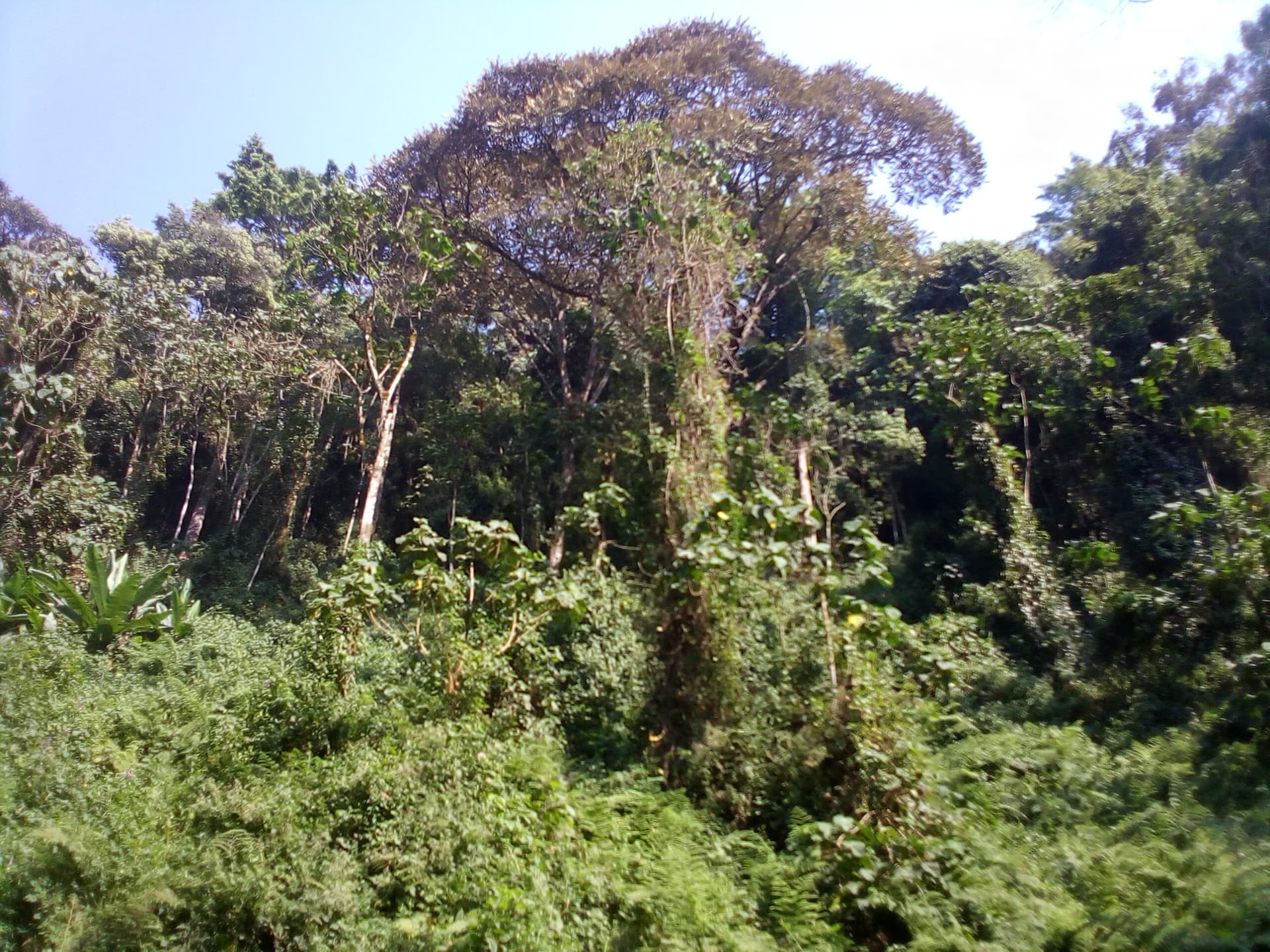 Top attraction in Burundi