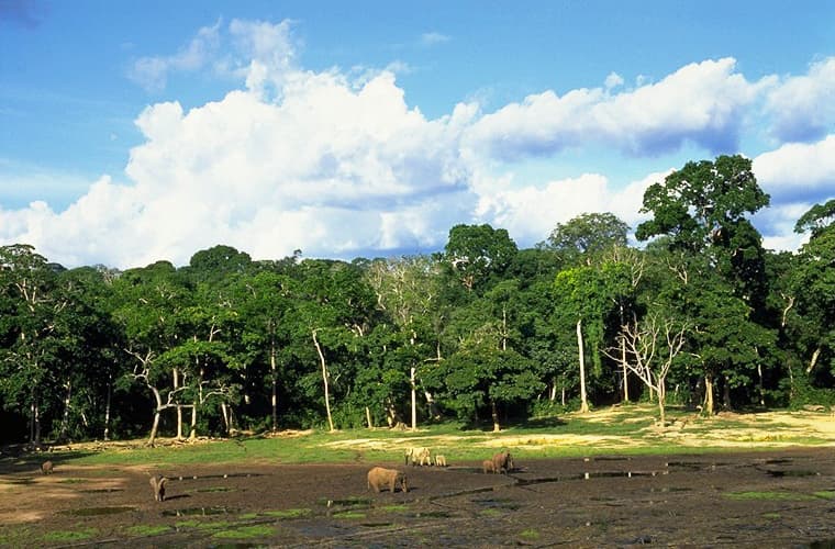 Top attraction in Central African Republic