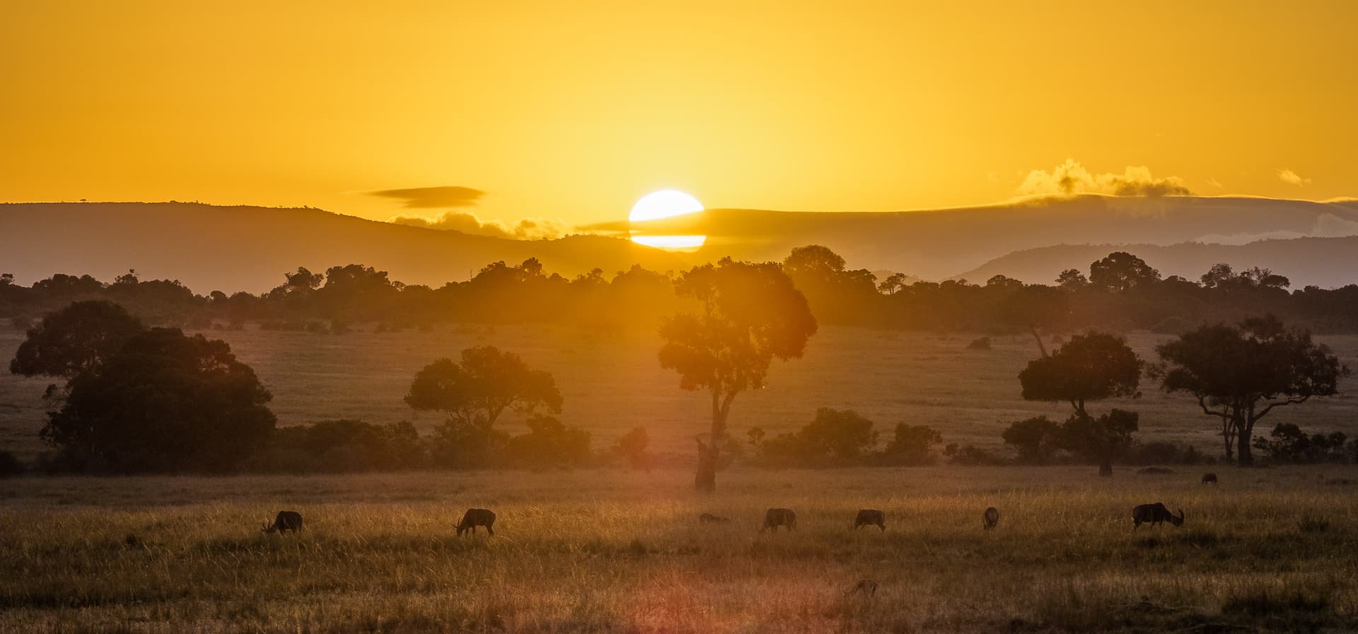 Kenya landscape