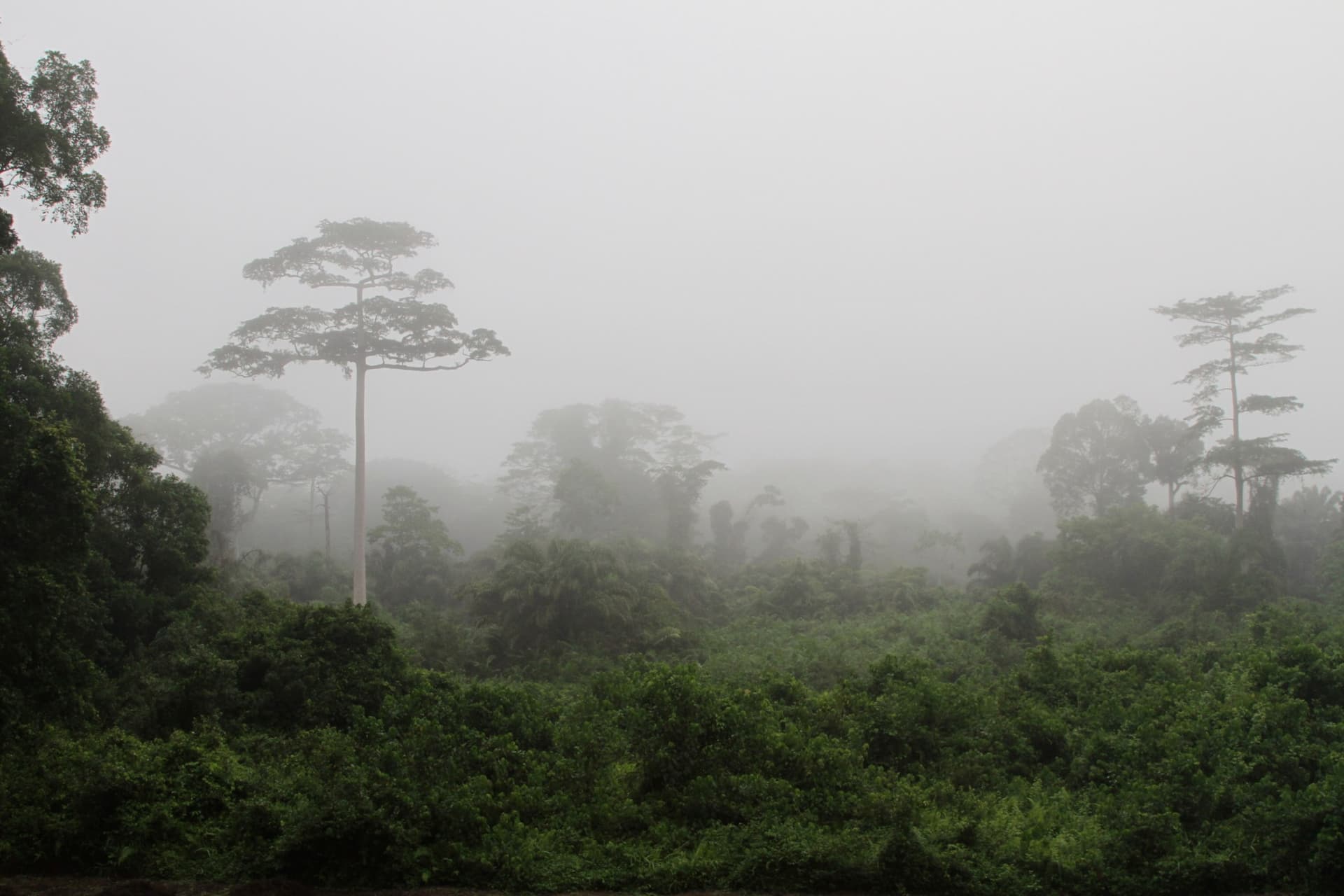 Top attraction in Liberia