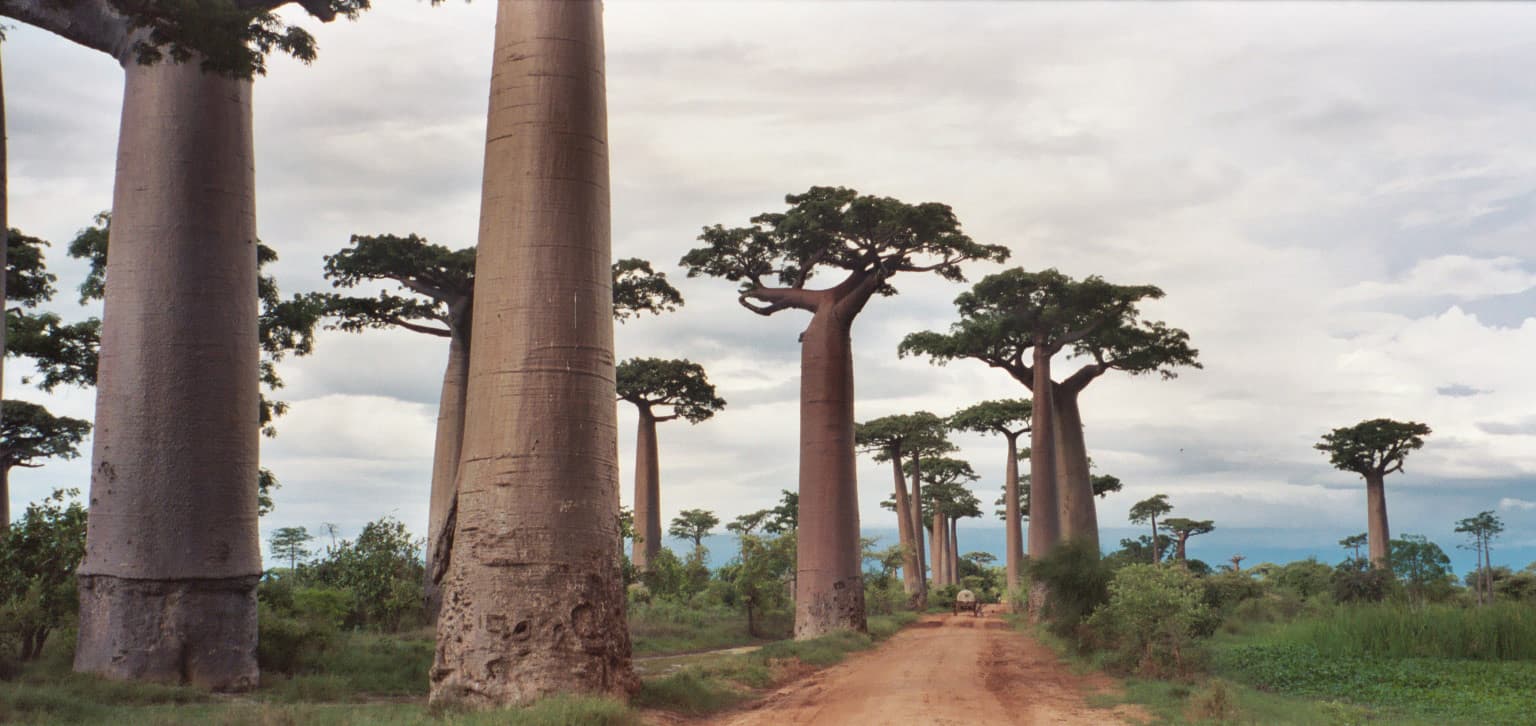 Top attraction in Madagascar