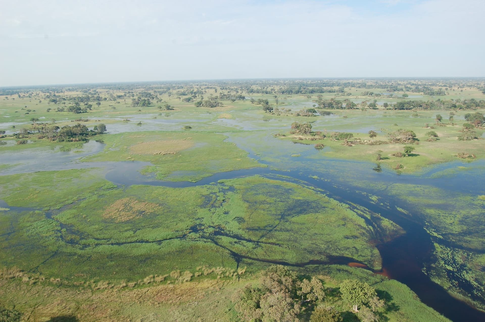 East Africa vs. Southern Africa: Which Safari Destination Is Right for You?