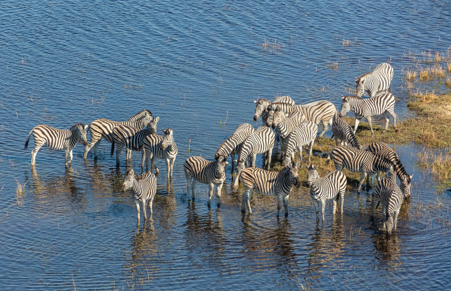 Okavango Delta (Botswana)