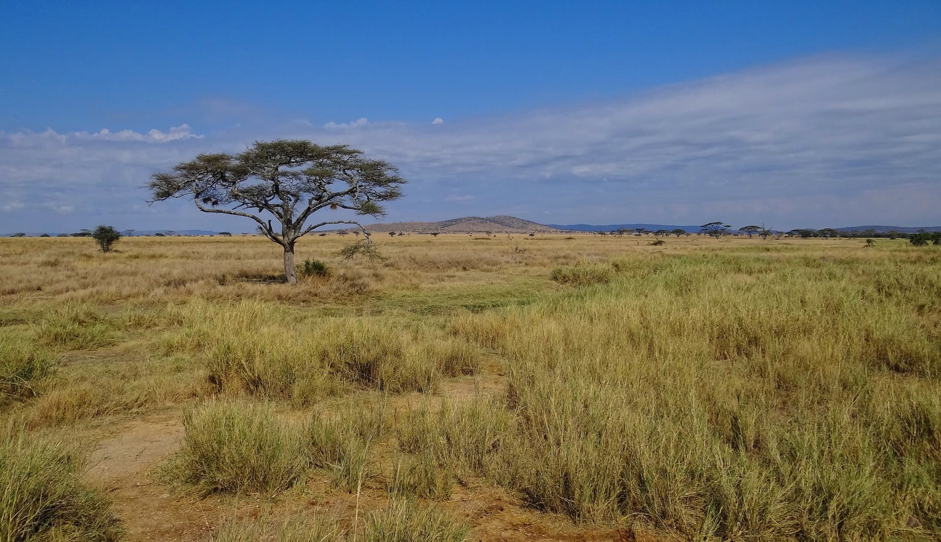 Serengeti National Park & Maasai Mara (Tanzania & Kenya)