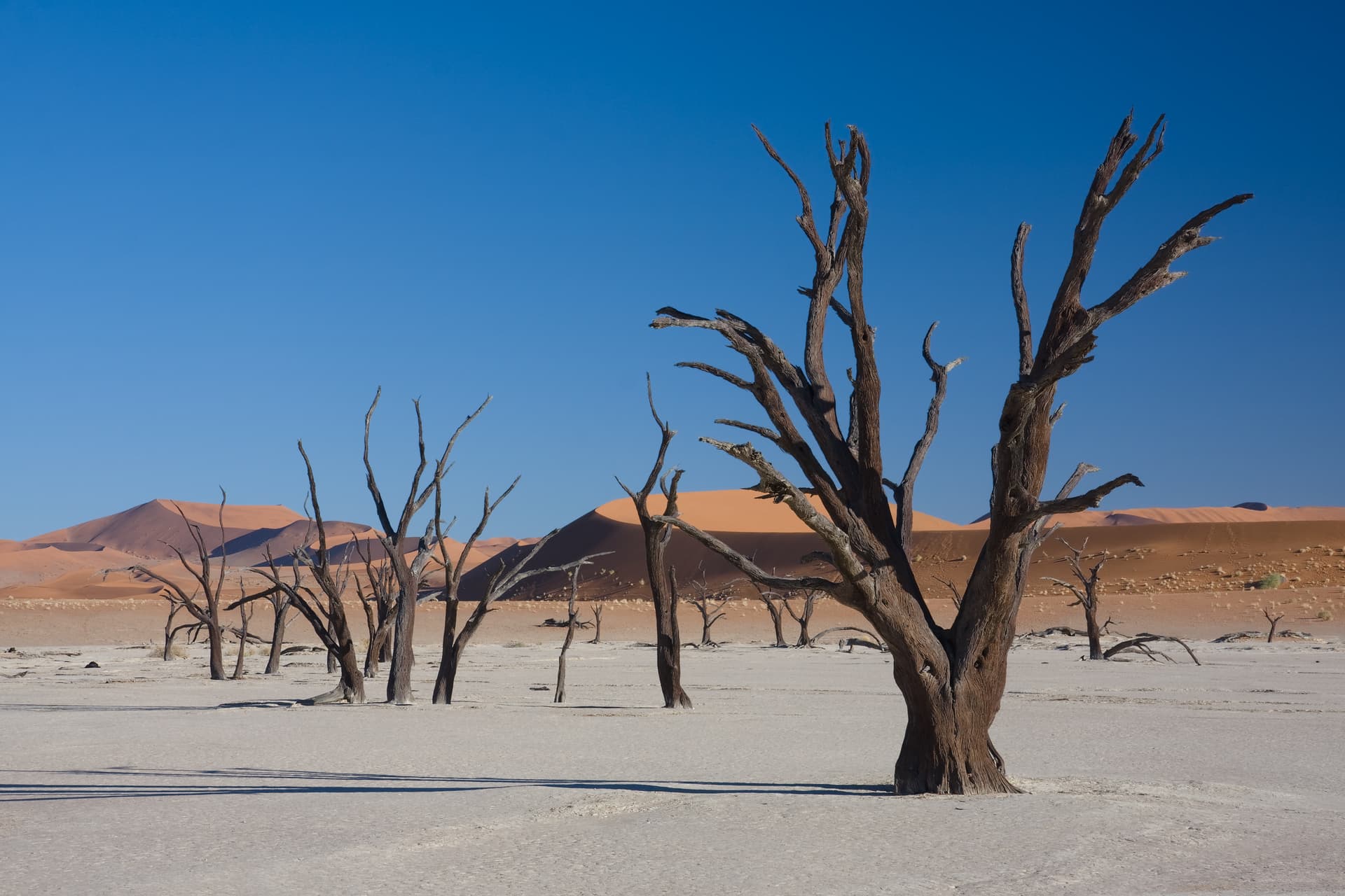 Sossusvlei & The Namib Desert (Namibia)