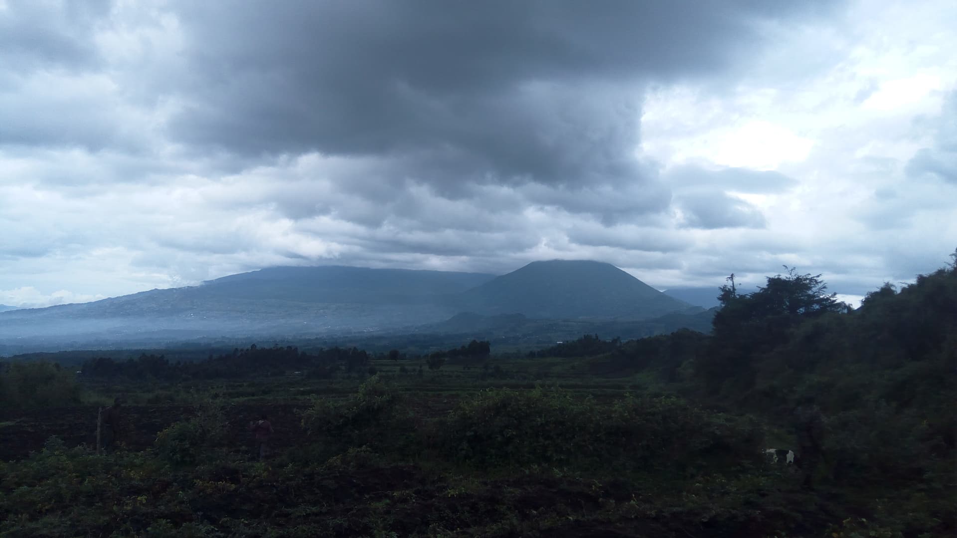Volcanoes National Park (Rwanda)